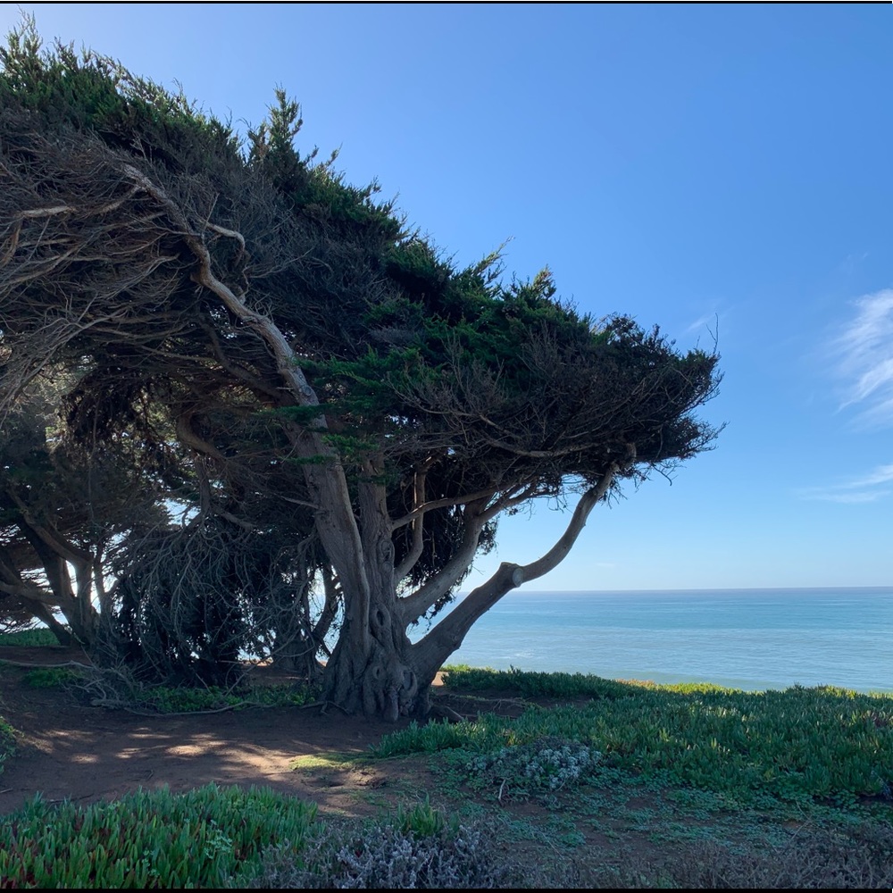 Meet your Posher, Tina